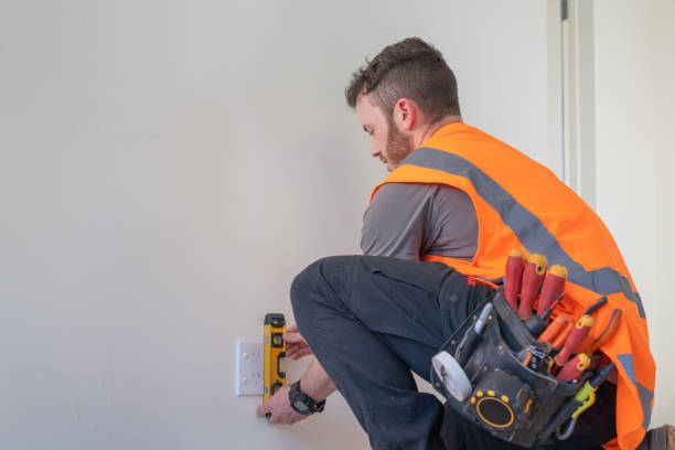 Best Generator Installation Services  in Lowell, MI